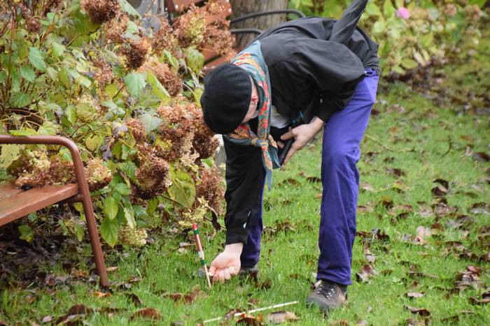 Amasako San Martin jaiak. Pu 11 1573117719984