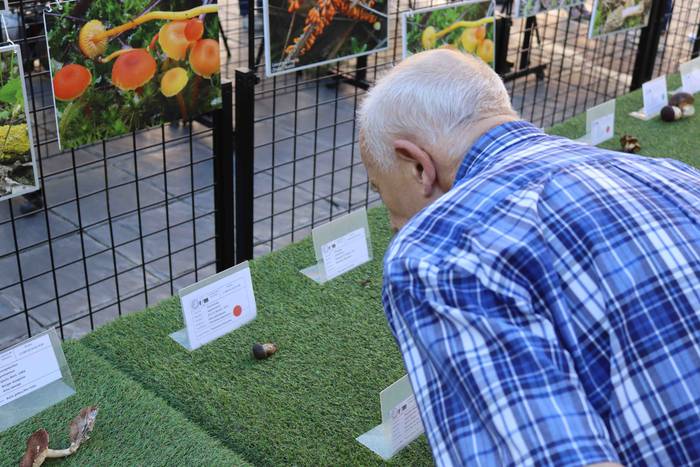 Perretxikoen plaza 18 1666439567888