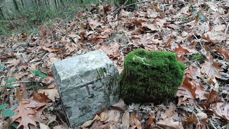 Tolosako mugak ezagutzeko hirugarren ibilbidea, igande honetan