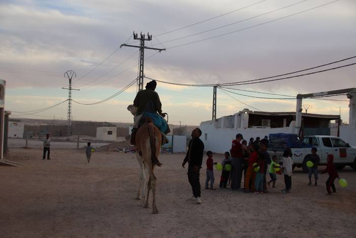 Oporrak Bakean poltsa banake 11 1638998388622