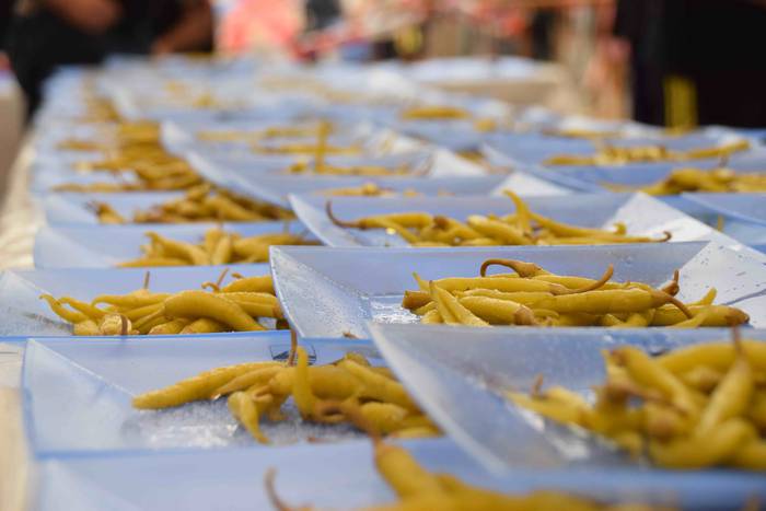 Ibarra festak 2018 haur danb 53 1535111644944