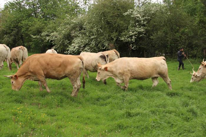 Larre irekiera ekitaldi bere 11 1588336778685