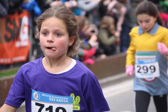 Ero-Etxe kros arrakastatsua  141 1485093608133