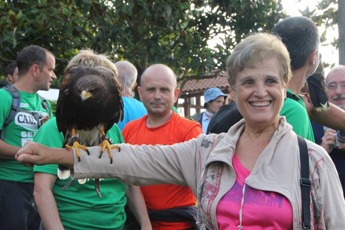 2016 bidea 29 1471775951558