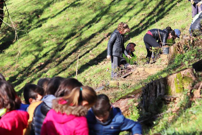 Tolosako ikasleek zuhaitzak  38 1520435664204