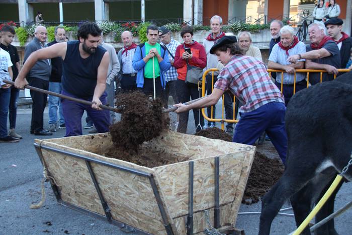 Gazteak nagusi, ximaurra gar 20 1507490498104