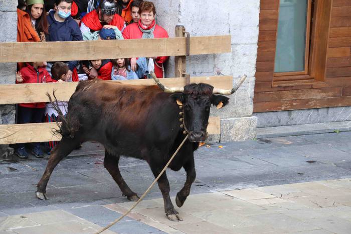 Plaza Berrian ere izan dira  9 1645971724355