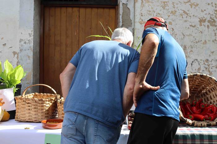 Postu txikiz bete da Alegiko 29 1632658213018