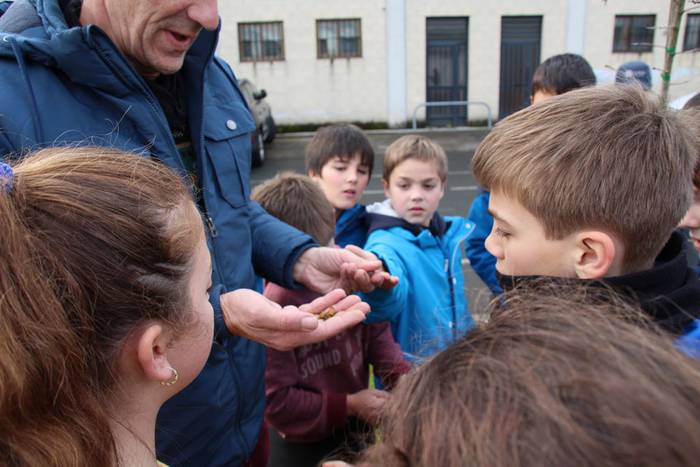 zuhaitz landatzea 2016 tolosa 9 1456503825263