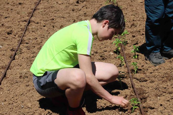 Erein dituzte lehen piperrak 33 1559303480683