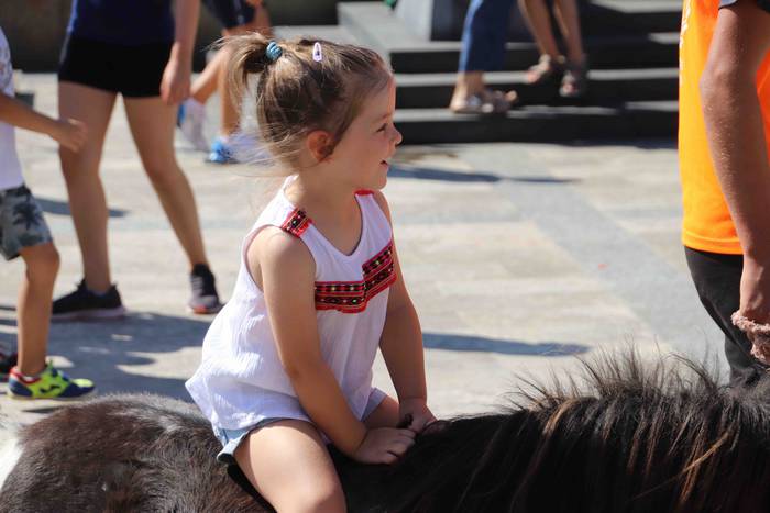 Festak hasteko, poniak eta z 22 1566993980681