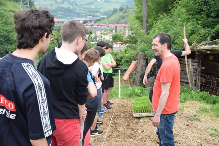 Ibarrako piperrak landatzen, 24 1527075742617