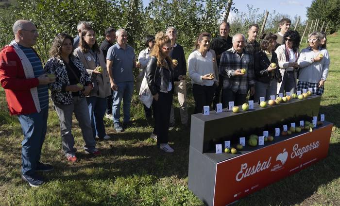 Sagar toki handian, sagar uzta «handia»