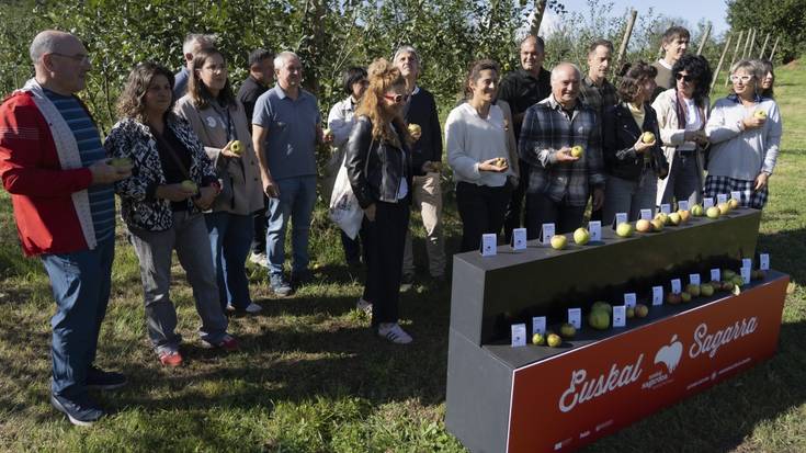 Sagar toki handian, sagar uzta «handia»