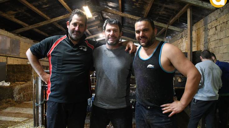 Zenbat ardi moztuko hiru orduren bueltan?