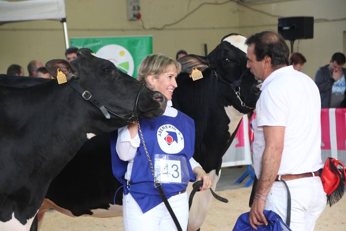 Frisoi Txapelketa 2015 21 1447530183135