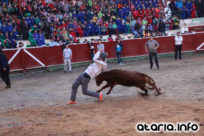 ostegun gizena 2016 zezen plaza 110 1454608296427