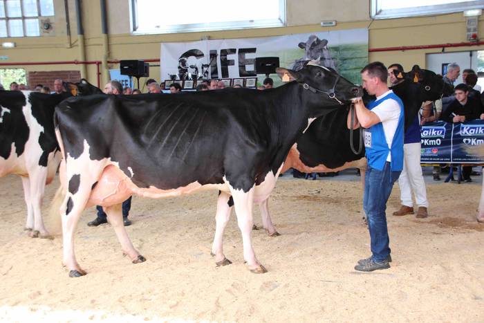 X. Euskal Herriko Frisoi Txa 3 1542479334992