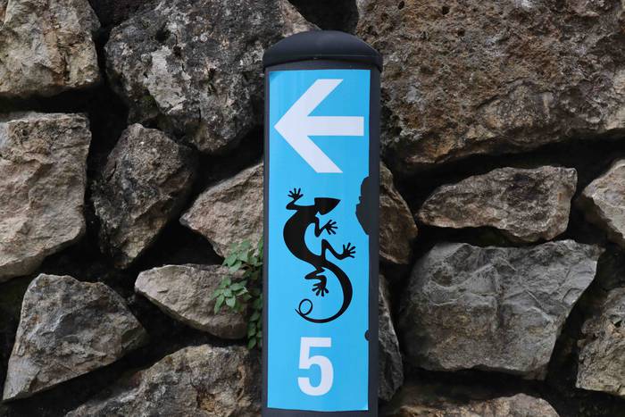 Muskerraren Bidea egin dute  32 1609069184947