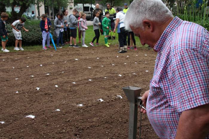 Aurtengoa, biolinak gozatua 24 1497265079491