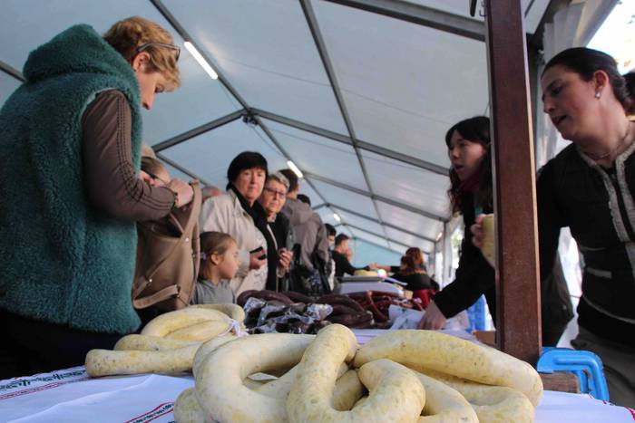 Tolosako Babarrunaren Festa  44 1542467743463