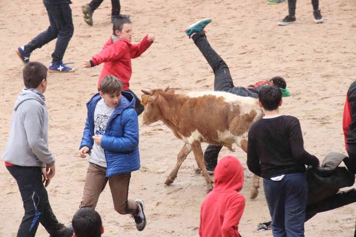 Txikienak zezen txikien aurr 30 1552240890454