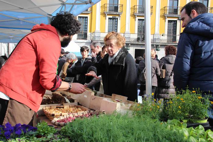 Tolosako Lore eta Landare Az 7 1549717196323