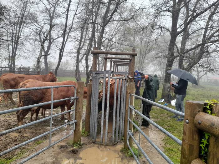 Larre irekiera ekitaldia egingo dute larunbatean Ezkeltzun