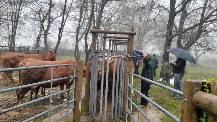 Larre irekiera ekitaldia egingo dute larunbatean Ezkeltzun