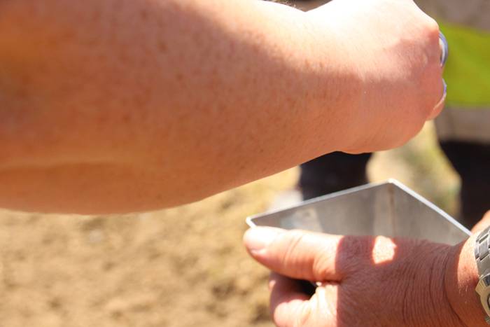 Tolosako babarrunaren ereitea 2016 19 1465470290178