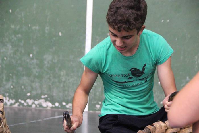 Frontoia, erakustaldiaren ba 37 1502818254472