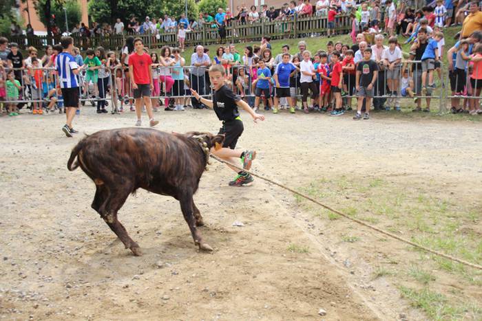 Zezenen aurretik, korrika 25 1469619727581