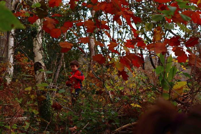 Adunako kultur egitaraua 202 42 1637571738620