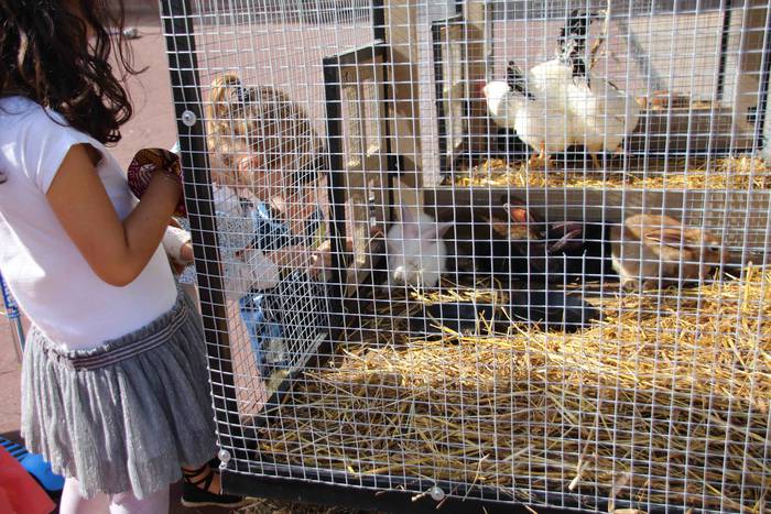 Euskaldunak asetzeko festa 44 1570976335500