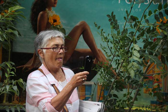 Lizarrez apaindutako kaleeta 19 1498311268064