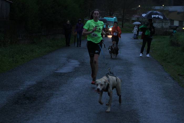 Zizurkil, txakur krosa 51 1490474095136