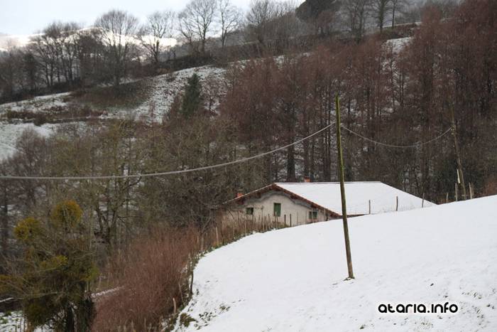 lehen elurtea 2016 14 1455547616883