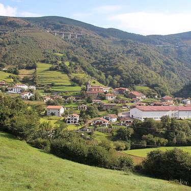 Bilera