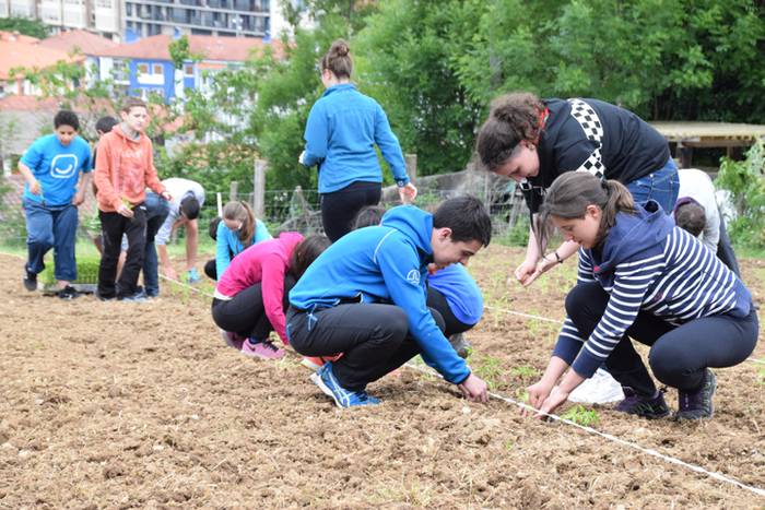 Piper landaketa uzturpe gureak  789 taldea 25 1464793775573