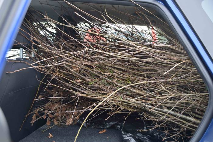 Baliarrain Zuhaitz Eguna 202 10 1644668813489