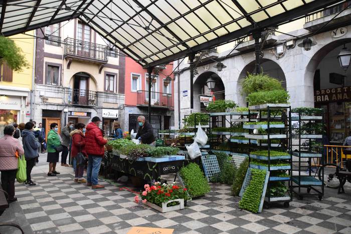 Tolosako azoka ohiko lekueta 22 1589626962733