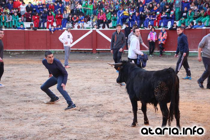 ostegun gizena 2016 zezen plaza 103 1454608293928