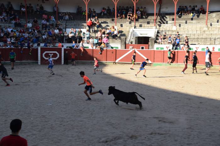 Berazubiko festak 2017, zeze 35 1507822929074