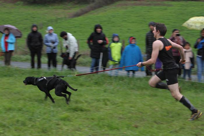 Zizurkil, txakur krosa 34 1490473997500