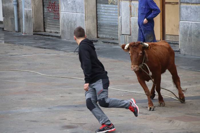 Zezenaren aurrean korrika 5 1551703416949