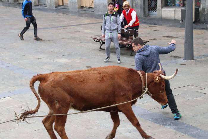 Zezenaren aurrean korrika 19 1551703622483