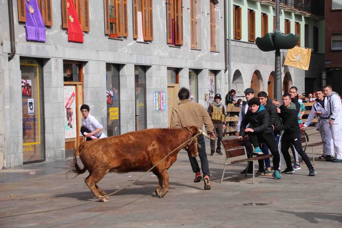 Soka zintzilik eta muturrak  51 1646140705458