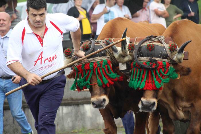 Zizurkil festak 2018 xiba et 28 1534452623732