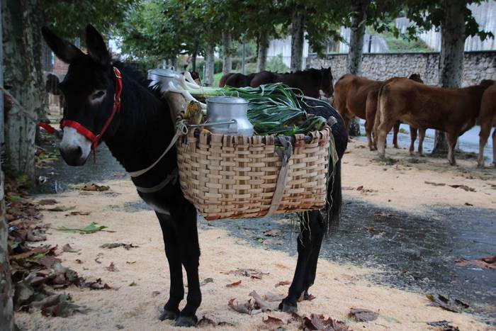 Azoka, hamaiketako eta guzti 19 1540733562222