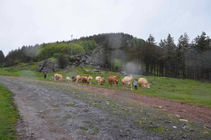 Larre irekiera Berastegi 202 14 1621072173946